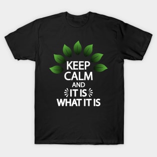 Keep calm and it is what it is T-Shirt